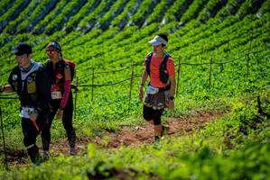 BIB: 588, 1366
                            <button type="button" onclick="openModal(19162362)" class="btn btn-primary btn-sm float-right btn-popup" data-toggle="modal" data-target=".modal-high-quality">
                        <i class="fas fa-shopping-cart"></i> Add to Cart
                    </button>
                                            <button type="button" onclick="isThisMe(19162362, true)" class="btn btn-success btn-sm float-right btn-popup btn-isme hidden" data-toggle="tooltip" data-placement="bottom" title="นี่คือรูปของคุณใช่ไหม คลิกที่นี่เพื่อเอาเข้าอัลบั้ม">
                        <i class="fas fa-plus"></i> Add to album
                    </button>
                    <button type="button" onclick="isThisMe(19162362, false)" class="btn btn-warning btn-sm float-right btn-popup btn-isnotme hidden">
                        <i class="fas fa-ban"></i> Remove from album
                    </button>